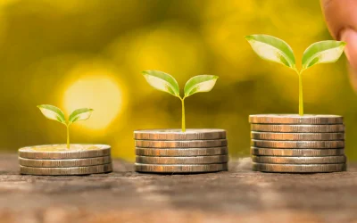 Digitalización financiera: decisiones más rápidas con datos centralizados