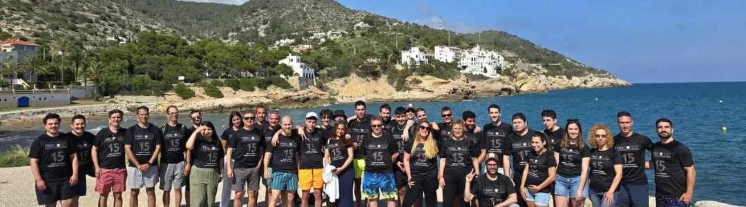 consultoria IT partner